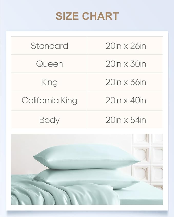 THXSILK Set of 2 100% Mulberry Silk Pillowcase for Hair and Skin Health, 22 Momme Soft and Smooth Pillowcases with Hidden Zipper, Both Sides Premium Grade 6A+ Silk, Standard 20"x26", Light Blue