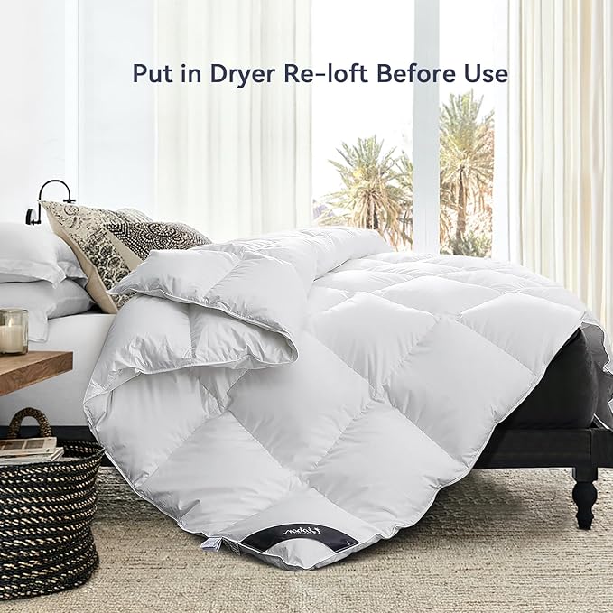 Globon Goose Down Comforter Queen Size All Season Down Duvet Insert,400 Thread Count Ultra Soft Noiseless Shell,800 Fill Power with Corner Tabs,White