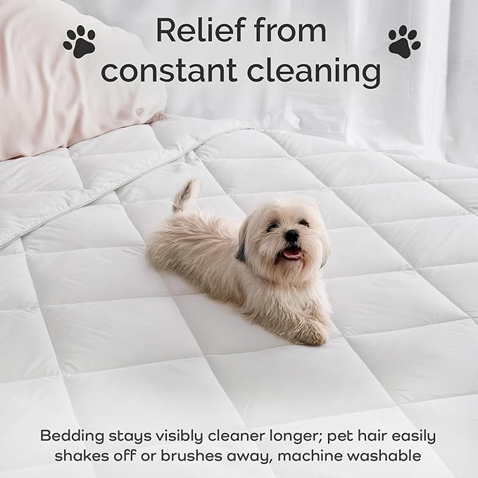 100% Viscose Derived from Bamboo Comforter, Cooling Comforter, Duvet Insert, Breathable, Extra Fluffy, Lightweight Comforters, Queen Size
