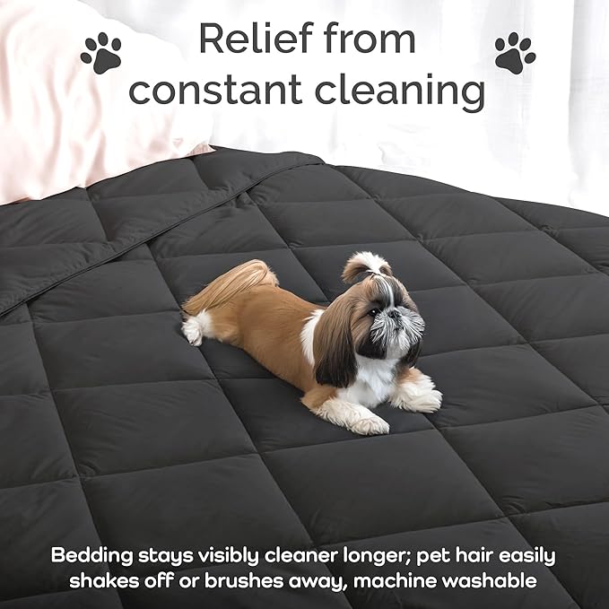 100% Viscose Derived from Bamboo Comforter, Cooling Comforter, Duvet Insert, Breathable, Extra Fluffy, Lightweight Comforters, Charcoal - Queen Size