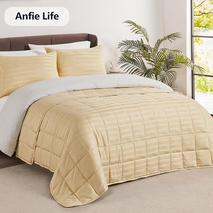 Weighted Blanket Queen Size (60"x80" 25lbs),Ultra Soft and Cozy Cooling Weighted Blanket Queen Size for Adult,Heavy Blanket with Machine Washable Soft Blanket, Beige