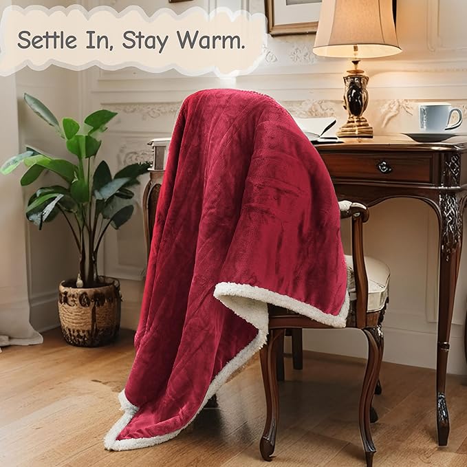 Electric Heated Blanket Queen Size 84"x90", Soft Flannel with Dual Controllers & Overheat Protection, 6 Adjustable Heat Settings & 10-Hour Auto-Off Timer, Fast Heating for Winter Comfort, Red