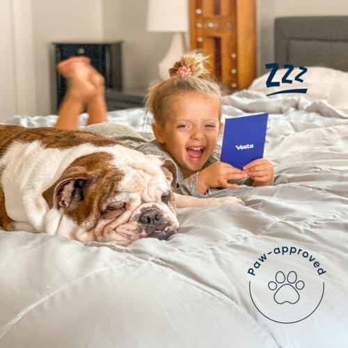 Vesta Heavyweight Silk Comforter, Overfilled Duvet Insert for Cold Sleepers & Winter, 100% Silk Fill with 100% Cotton Shell, Moisture-Wicking, Queen Size (Grey, Silk Weight: 4.2lbs)