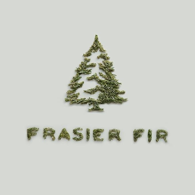 Thymes Frasier Fir Candle - Gilded Collection - Wood Grain Ceramic Design with 24-Karate Gold Rim - Mountain Fresh Fragrance - Elegant Winter Candle Scents - Gifts for Women & Men (Petite, 6 oz)