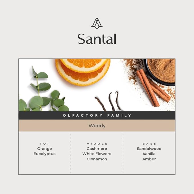 AromaPlan Natural Santal Room Spray & Car Fragrance Kit-Concentrated, Non-Toxic, Odor Eliminator & Long Lasting- Room Spray Air Freshener-Home, Car, Fabrics- 5 Star Hotel Scent Fragrance (100&30 ml)