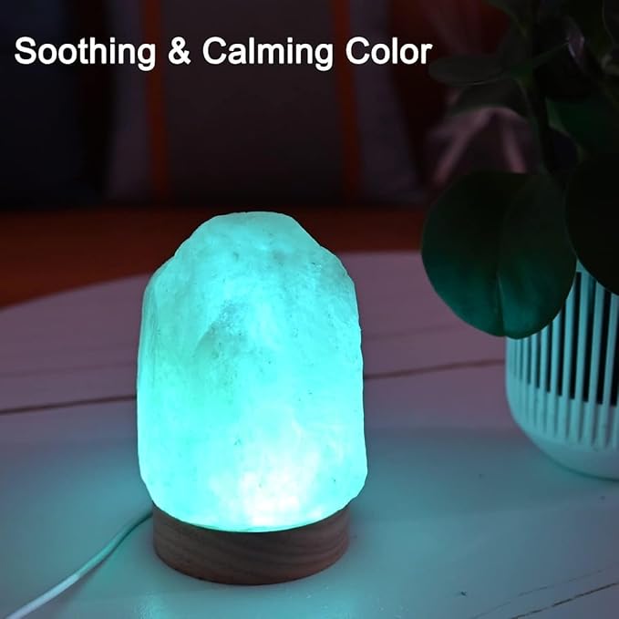 FANHAO Himalayan Salt Lamp 16 Colors, Natural Salt Rock Lamp Hand Carved Night Lights, USB Salt Crystal Lamp Remote Control for Meditation, Gifts & Home Décor