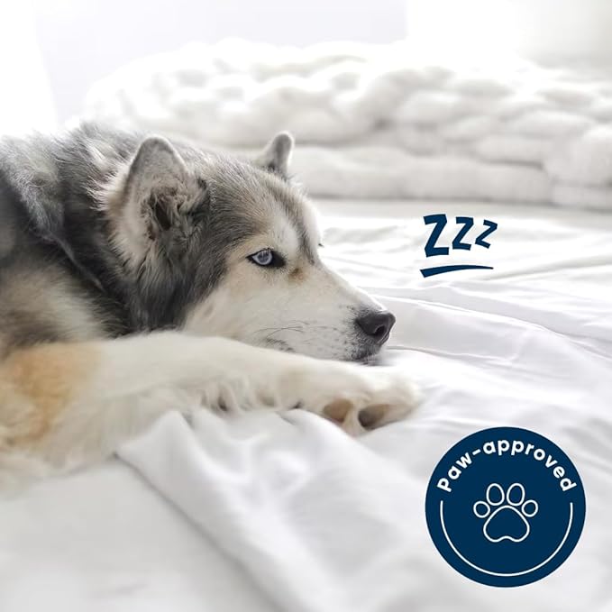 Vesta Washable Silk Lightweight Comforter, Cooling Blanket for Hot Sleepers, 100% Long Staple Mulberry Silk, Moisture & Thermal Control for Summer Use (Mirage White, King/Cal King 104'' X 90'')