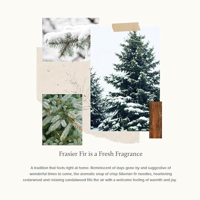 Thymes Frasier Fir Candle - Gilded Collection - Wood Grain Ceramic Design with 24-Karate Gold Rim - Mountain Fresh Fragrance - Elegant Winter Candle Scents - Gifts for Women & Men (Petite, 6 oz)