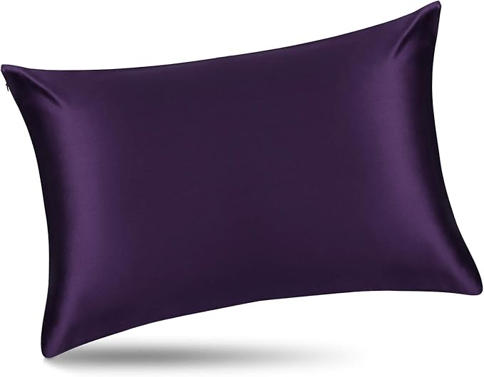 ALASKA BEAR Silk Pillowcase for Hair and Skin, Set of 2 Pure Genuine 22 Momme Mulberry Silk Pillow Cases Standard Size for Bliss Sleep Better Than Poly Satin, Zipper Closure(2pc, Dark Purple)
