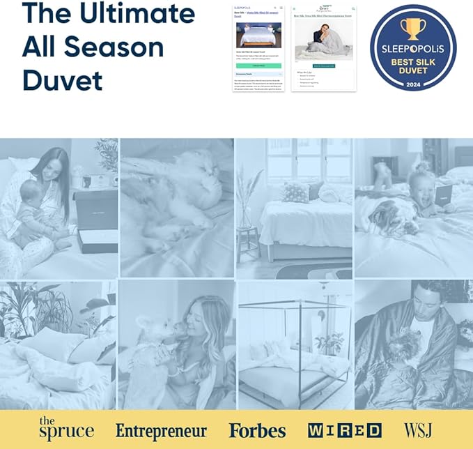 Vesta All-Season Silk Comforter, Quilt and Duvet Insert for Hot Sleepers, 100% Silk Fill with 100% Cotton Shell, Luxuriously Soft, Moisture-Wicking, King Size (Grey, Silk Weight: 3.7lbs)