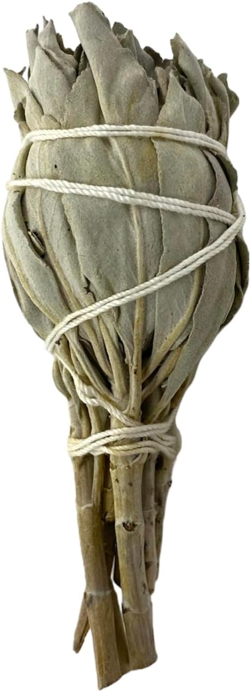 NessaStores 6 California White Sage Smudge Sticks, 3 to 4 Inch Hand Tied, All Natural for Home Cleansing, Stress Relief, & Clearing Negative Energy JC-005