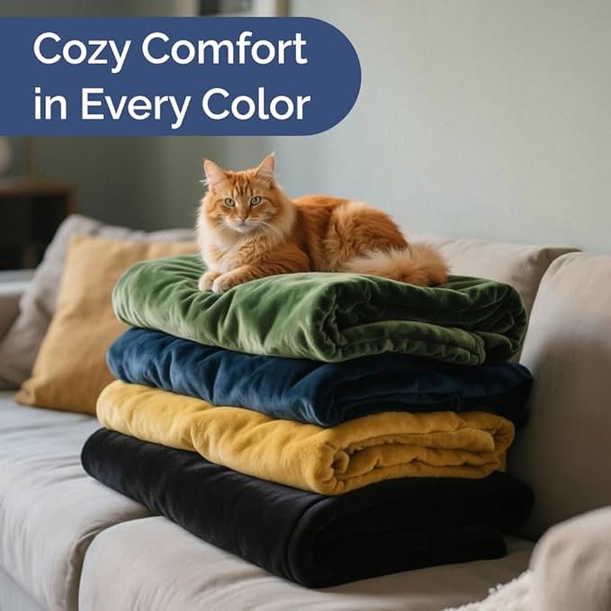 Ultra Soft Fleece Blanket Queen Size - Flannel Fleece Luxury Queen Blanket - Lightweight for Couch Bed Chair - Thick, Warm and Breathable - All Season Cozy Fuzzy, Anti-Static Microplush Bedding, Navy