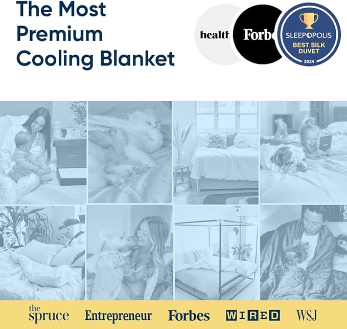 Vesta Washable Silk Lightweight Comforter, Cooling Blanket for Hot Sleepers, 100% Long Staple Mulberry Silk, Moisture & Thermal Control for Summer Use (Ivory Slate, Full/Queen 90'' X 90'')