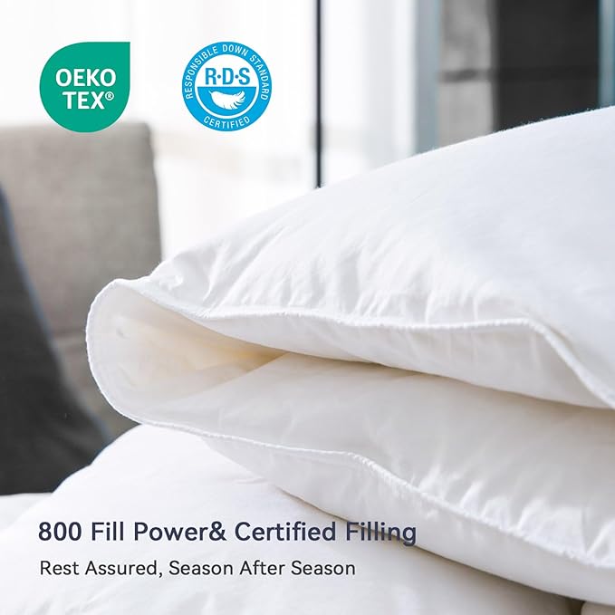 Globon Goose Down Comforter Queen Size All Season Down Duvet Insert,400 Thread Count Ultra Soft Noiseless Shell,800 Fill Power with Corner Tabs,White
