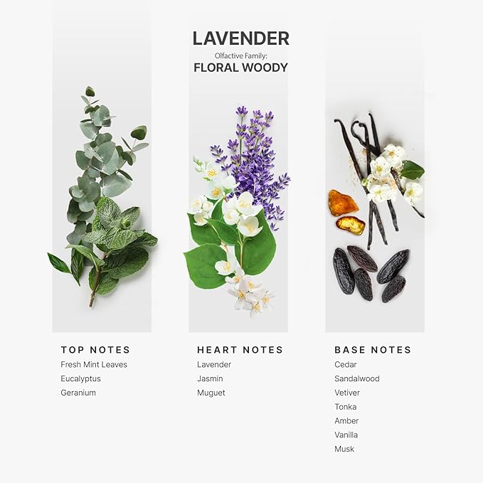 AromaPlan Hotel Scents Lavender 5 Fl Oz (2 Pack), Luxury Aroma & Hotel Fragrance Diffuser Oil- Hotel Diffuser Oil for Aromatherapy- USA Made, Bigger Bottle, Bolder Aroma & Longer Lasting