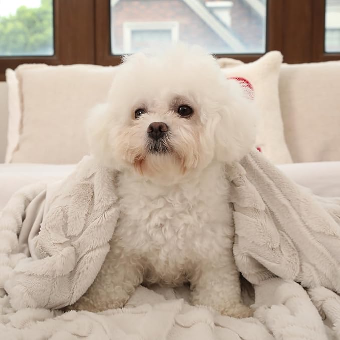 Cozy Bliss Faux Fur Throw Blanket for Couch, Jacquard Fuzzy Plush Soft Thick Winter Throw Blanket for Sofa Bed Living Room Bedroom，60"x80" Beige