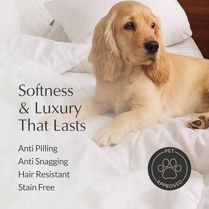 Buffy Cloud Comforter - King Comforter - Eucalyptus Fabric - Hypoallergenic Bedding - King/Cal King
