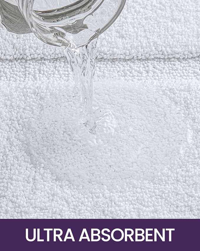 DEXI Bathroom Rugs Set 2 Piece 24x16, Washable Non Slip Bath Mat for Shower Floor, Absorbent Quick Dry Bathmat with Rubber Backing, Ultra Soft Plush Carpet for Tub, White
