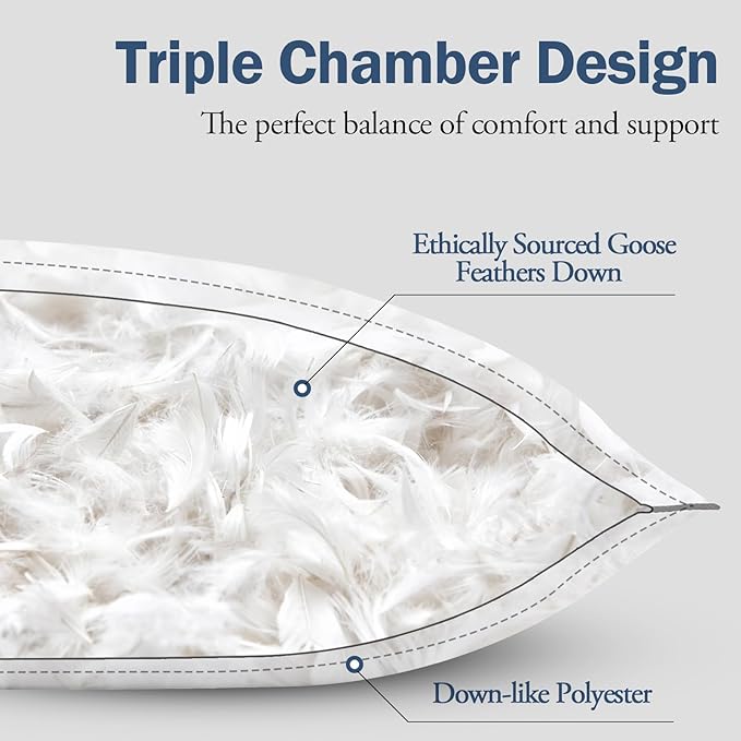 BPC Goose Feather Down Pillows King Size Set of 2, Luxury Hotel Collection Bed Pillows for Sleeping, 100% Organic Cotton Cover, Fluffy and Soft Support Surround Fill Polyester, Medium Firm, 20"x36"