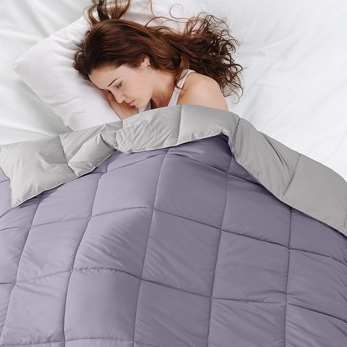 Modern Threads Down Alternative Reversible Comforter Purple/Silver Queen