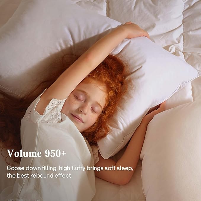BHZ Goose Down Feather Pillow Queen Size Set of 4, Luxury Hotel Alternative Collection Bed Pillow for Sleeping Firm Soft Support for Side & Back Sleepers, White, 20x28 Inch