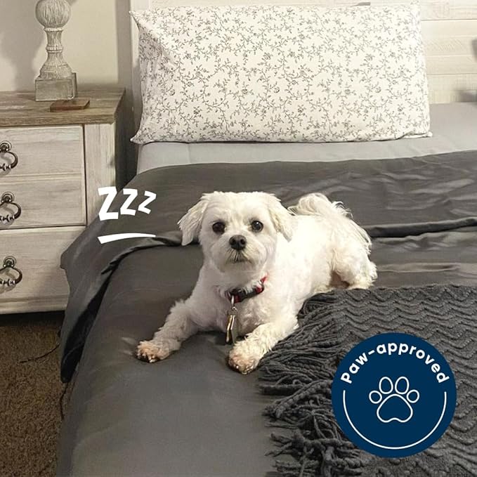Vesta Washable Silk Lightweight Comforter, Cooling Blanket for Hot Sleepers, 100% Long Staple Mulberry Silk, Moisture & Thermal Control for Summer Use (Ivory Slate, Full/Queen 90'' X 90'')