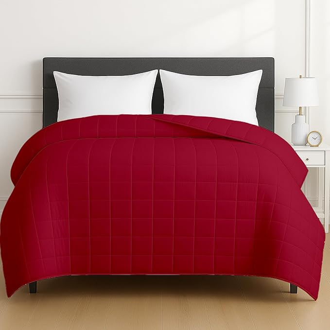 HomeSmart Products 50lbs Weighted Blanket Queen Size - Breathable, Hypoallergenic Soft Fabric, Extra Heavy Blanket Red Burdundy