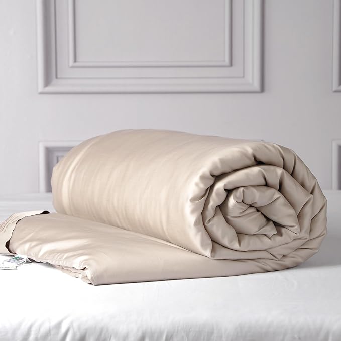 CUDDLE DREAMS Silk Filled Comforter for All Season, Detachable Tencel Duvet Cover for Easy Care, Naturally Breathable (Light Pewter, King)