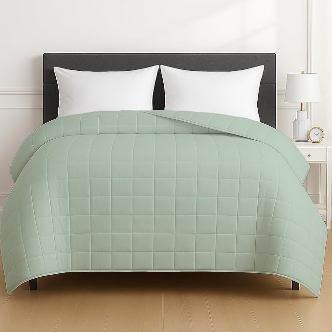 HomeSmart 50 lbs Weighted Blanket King Size, Heaviest Blanket, Fits Standard and California King Beds, 104x92, Sage Green