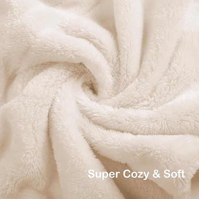 Electric Heated Blanket Queen Size 84"x90", Dual Controllers, Cozy Large Oversized, 4 Heating Levels & 10 Hours Auto Off, Cozy for Bed, Sofa, & Office, Machine Washable, White