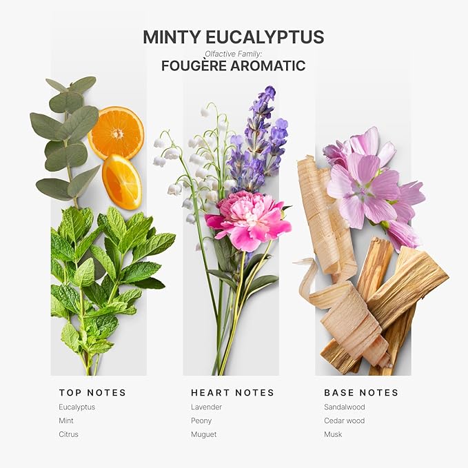 AromaPlan Hotel Scents Minty Eucalyptus 5 Fl Oz (2 Pack), Luxury Aroma & Hotel Fragrance Diffuser Oil- Hotel Diffuser Oil for Aromatherapy- USA Made, Bigger Bottle, Bolder Aroma & Longer Lasting