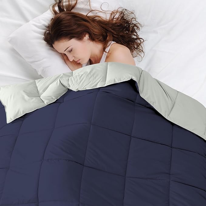 Modern Threads Down Alternative Reversible Comforter Navy/Silver Twin