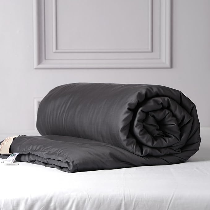 CUDDLE DREAMS Silk Filled Comforter for All Season, Detachable Tencel Duvet Cover for Easy Care, Naturally Breathable (Steel Gray, King)