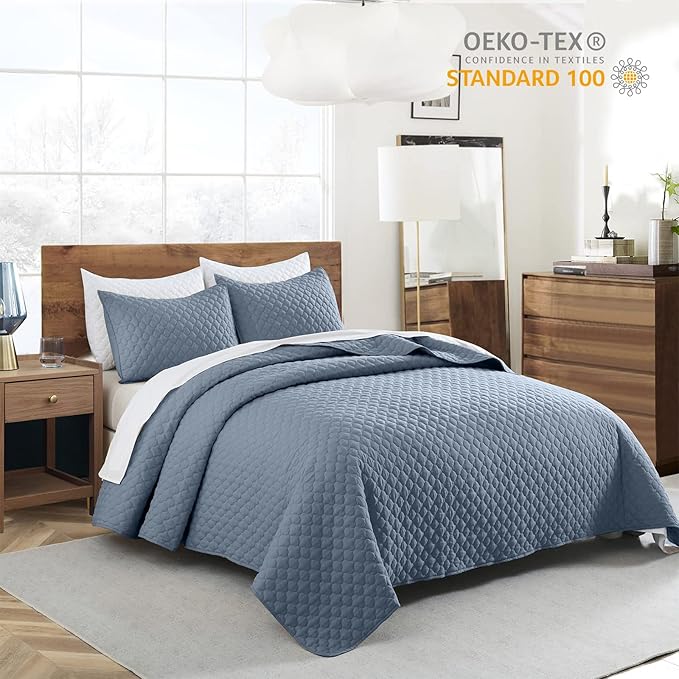 HORIMOTE HOME Quilt Queen Size Dusty Blue, Lightweight Quilt for Summer Ultra-Soft Microfiber Modern Style Quilted Clouds Pattern Bedspread Quit Set 3 Pieces(1 Quilt and 2 Pillow Shams)