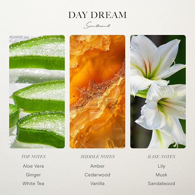 Scentiment Hotel Diffuser Oil Discovery Kit | Inspired by Five-Star & Luxury Hotel Scents | Aromatherapy Oils with Notes of Cardamom, Tuscan Leather, and Sandalwood (20ml, Top 3 Scents)