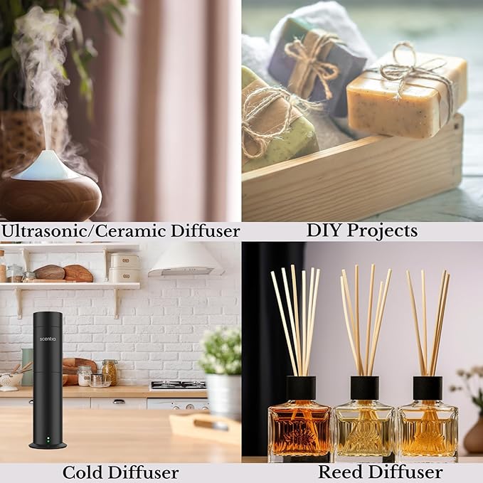 Scentia Santal Diffuser Oil 50ml – Santal 33 Inspired Aroma – Rich Sandalwood, Amber, Vanilla & Musk – Long-Lasting Scent for Home, Office, Cold-Air & Ultrasonic Diffusers, Thanksgiving Gift