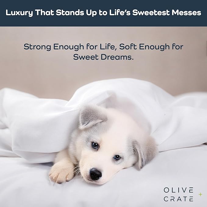 Olive + Crate Tencel Eucalyptus Cooling Duvet Cover Set - Hypoallergenic, Lyocell Tencel Duvet Cover - Soft, Temperature Regulating with Hidden Button Closure & Corner Ties - Queen Size [White Snow]
