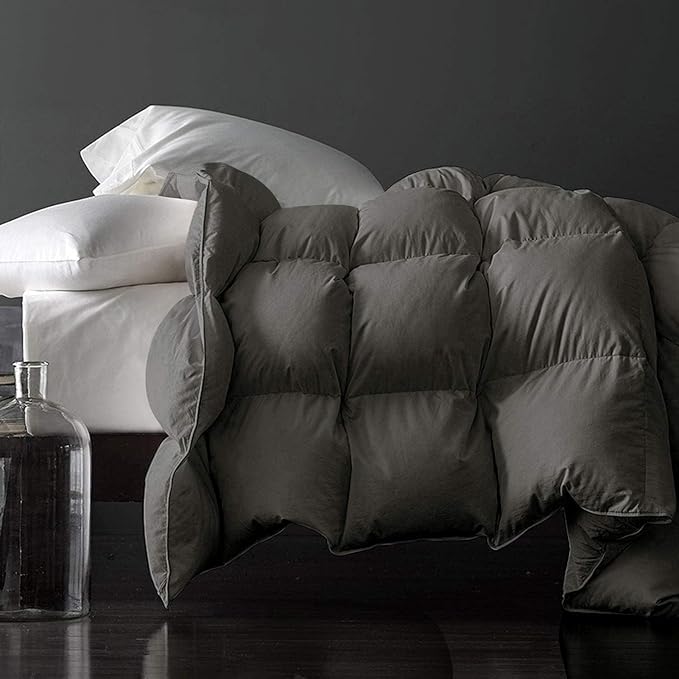 Royoliving Premium Feathers Down Duvet Insert Comforter Queen Size Charcoal Grey Heavyweight Thickened Winter 100% Cotton Cover with Corner Tabs (90x90, 60 oz)