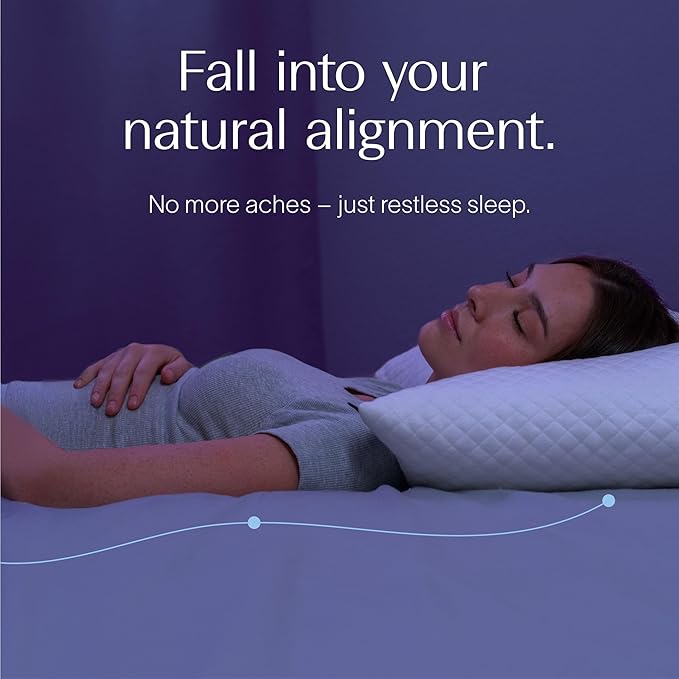 DreamyBlue Signature Pillow w/Adjustable Loft • Shredded Memory Foam Fill • Neutral Alignment for Side, Back, and Stomach Sleepers • Washable Bamboo Rayon Cover • CertiPUR-US Certified Foam (King)