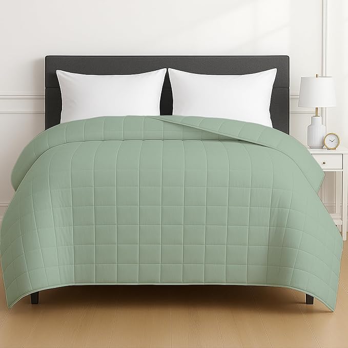 HomeSmart Products 30lbs Weighted Blanket Queen Size - Breathable, Hypoallergenic Soft Fabric, Extra Heavy Weighted Blanket Green Sage