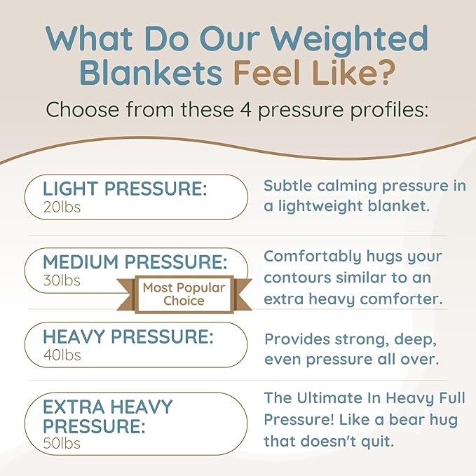 HomeSmart Products 50lbs Weighted Blanket Queen Size - Breathable, Hypoallergenic Soft Fabric, Extra Heavy Weighted Blanket Green Sage