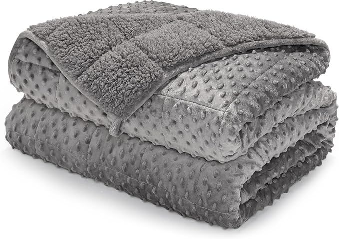 Minky Dot Weighted Blanket for Adults Queen Size 20 lbs, Soft Cozy Heavy Blanket for Stress Relief and Sleep Promotion, Warm Blanket for Autumn Winter with Glass Beads, Grey 60 x 80 inches