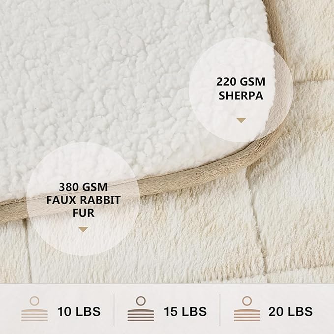 Homemate Heated Weighted Blanket for Adults - 62"x84" 15lbs Electric Throw Fast Heating Heavy Blanket 1/2/4/6/8 Hour Auto Off 10 Heat Levels Over-Heat Protection Luxury Faux Fur Sherpa
