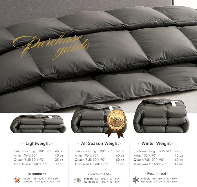 Royoliving Premium Feathers Down Duvet Insert Comforter King Size Charcoal Grey Heavyweight Thickened Winter 100% Cotton Cover with Corner Tabs (106x90, 70 oz)