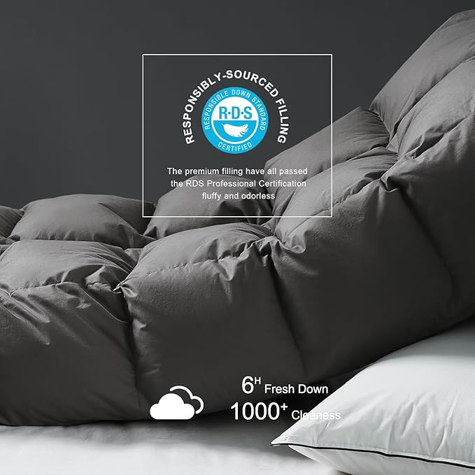 Royoliving Premium Feathers Down Duvet Insert Comforter King Size Charcoal Grey Heavyweight Thickened Winter 100% Cotton Cover with Corner Tabs (106x90, 70 oz)