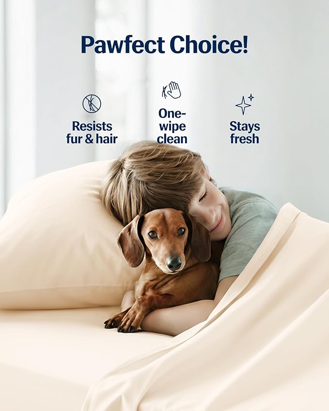 REST® Evercool®+ Starter Sheet Set, Twin, Snow Ivory, Breathable Bed Sheets for Hot Sleeper and Night Sweats, with Pillowcases, Ionic+ Self-Cleaning Silver Yarn for Sensitive Skin, 3PCS No Flat Sheet