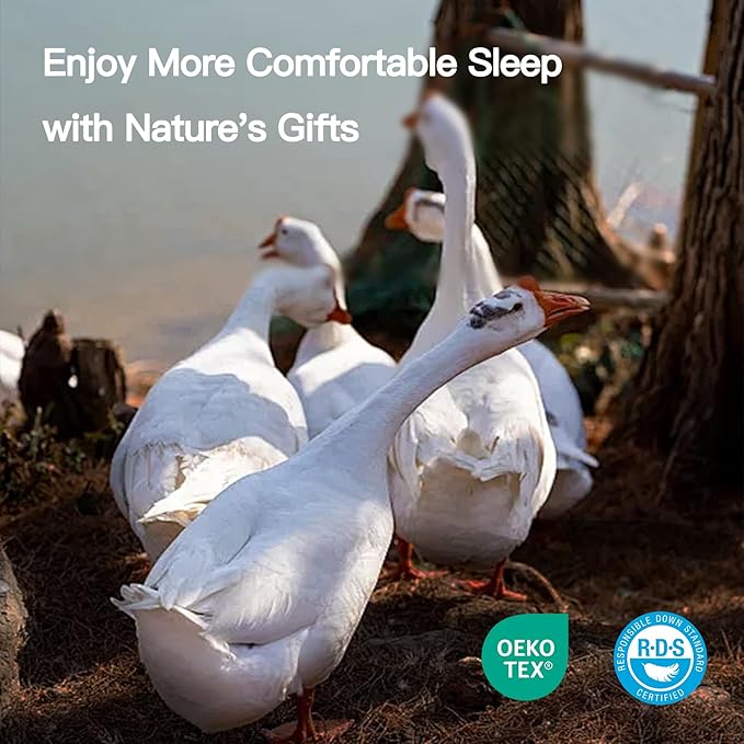 Goose Down Fiber Comforter Twin Size, 100% Cotton Luxurious Hotel Duvet Insert for All Season, Fluffy and Cozy with 8 Corner Tabs Medium Warmth 68 x 90 Inch White