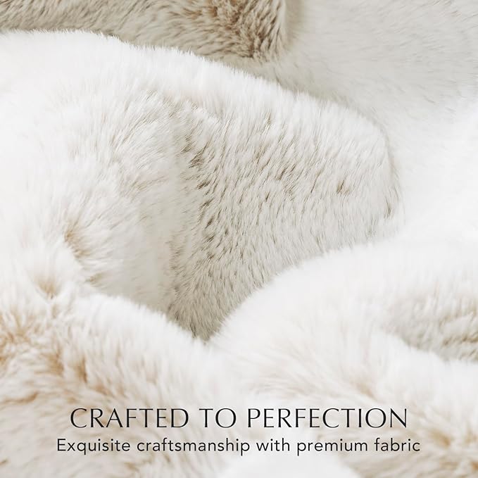EVERGRACEHOME Ultra Soft Luxury Fluffy Mink Faux Fur Throw Blanket, Thick Warm Fall Winter Blankets for Bed, Couch, Cozy Plush Reversible Blanket for Chair, Sofa (Tipped Champagne Ivory, 50"x60")