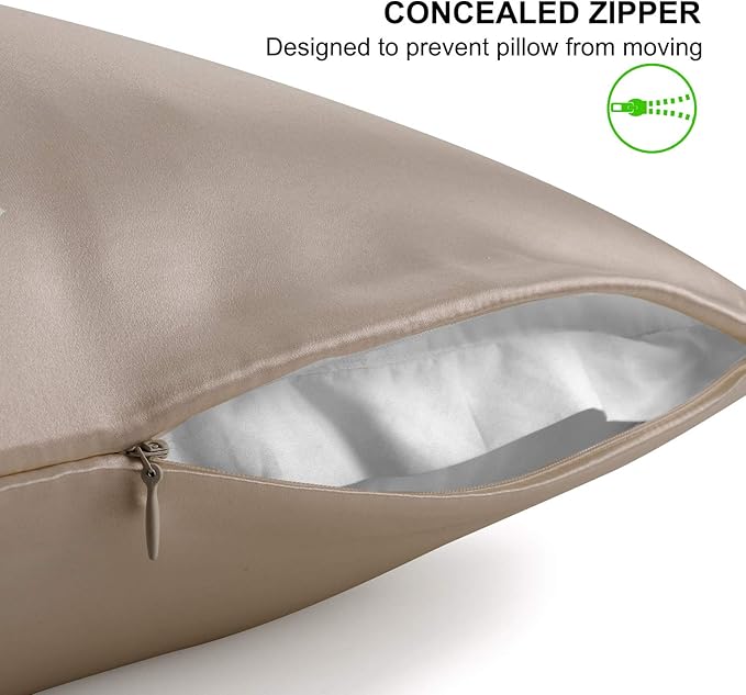 ALASKA BEAR Silk Pillowcase for Hair and Skin, Set of 2 Pure Genuine 22 Momme Mulberry Silk Pillow Cases King Size for Bliss Sleep Better Than Poly Satin, Zipper Closure(2pc, Taupe)