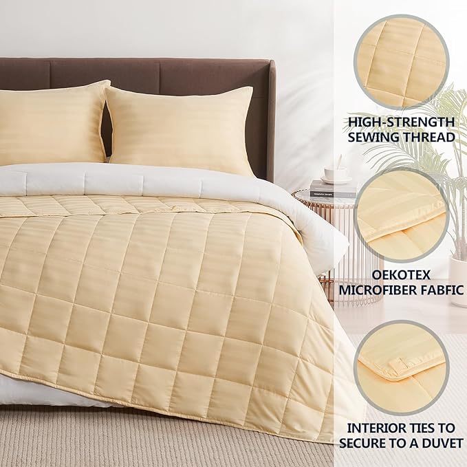 Weighted Blanket Queen Size (60"x80" 25lbs),Ultra Soft and Cozy Cooling Weighted Blanket Queen Size for Adult,Heavy Blanket with Machine Washable Soft Blanket, Beige